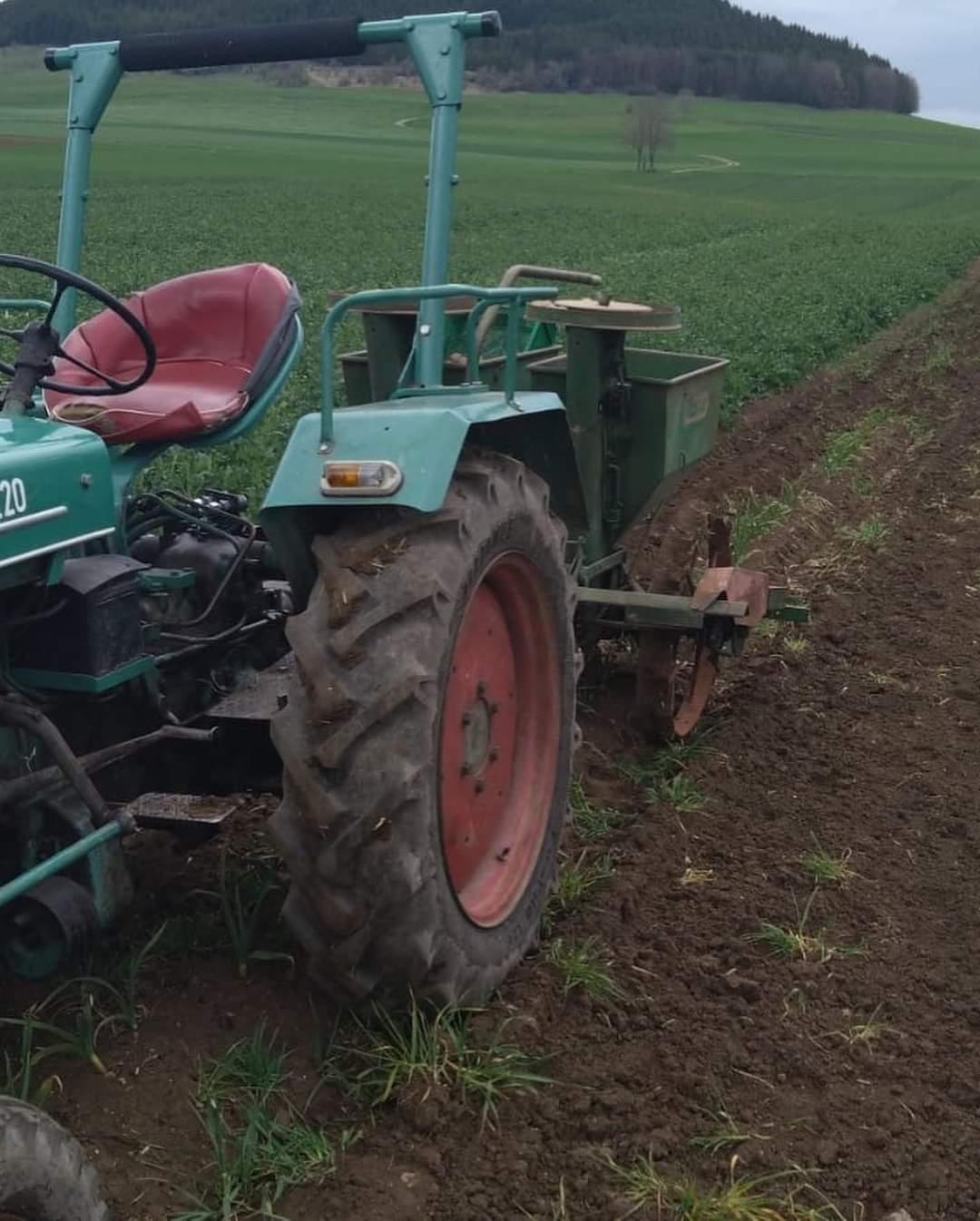 Unser alter Kramer-Schlepper mit der Kartoffel-Legemaschine auf dem Feld