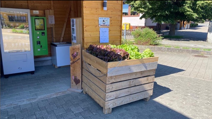 Holzkiste voll frischem Salat vor dem Automat in Riedböhringen